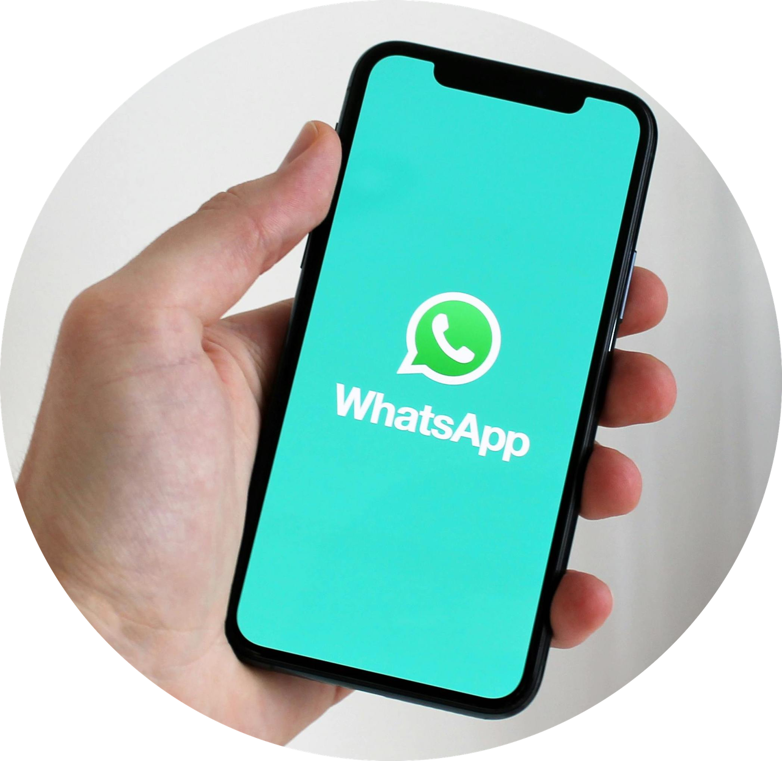 whatsapp